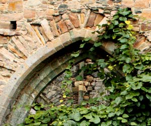 Ouverture en ogive à l'abbaye