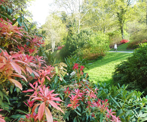 Parc du conservatoire botanique de Brest